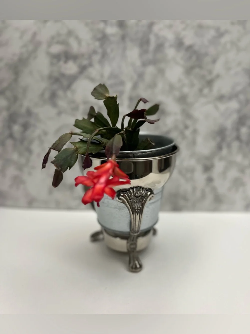 Vintage Silver Footed Planter Rim Stand - 7" Ornate Flower Pedestal - Picture 7 of 8